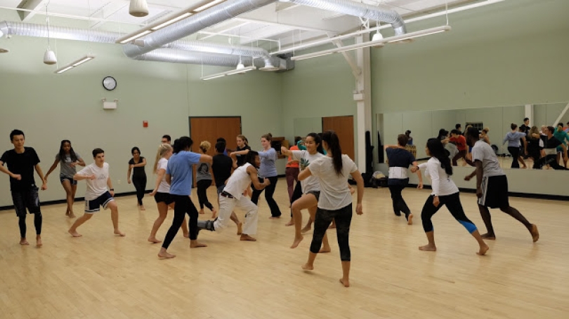 RGLP students during a capoeira session.
